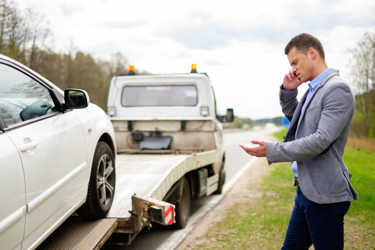Fort Collins that buy cars